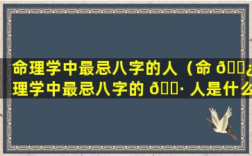 命理学中最忌八字的人（命 🌿 理学中最忌八字的 🌷 人是什么）